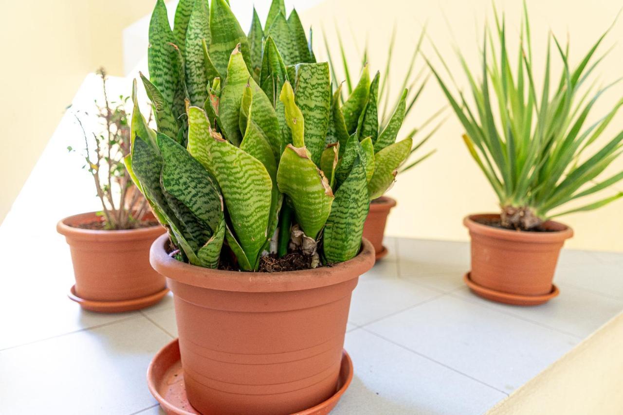 Yolo House - Corralejo Apartment Ngoại thất bức ảnh